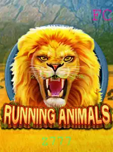 RunningAnimals: Transforme-se em um Campeão Selvagem com Z777